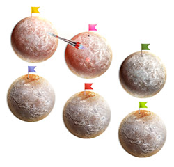 Выбор операционной системы