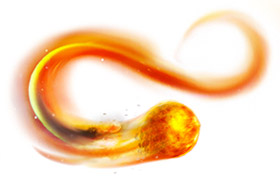 Трафик не тарифицируется